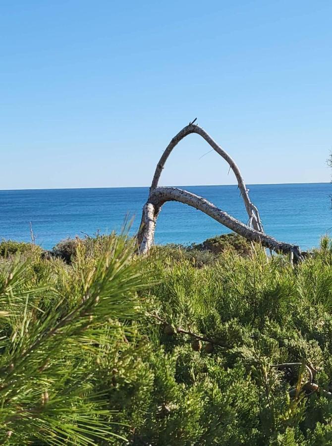 Apartamento Carlos , Lomas De Cabo Roig Area,2 Bedroom,2 Terraces,Swimming Pool Dehesa de Campoamor  Exteriör bild